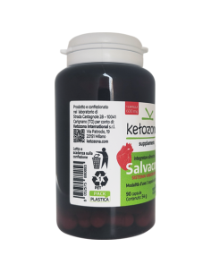 Salvacor 2