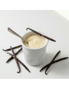 Confezioni Ketozona da quattro vasetti bianchi di budino vaniglia e cioccolato, con due vasetti aperti davanti su sfondo bianco. 2