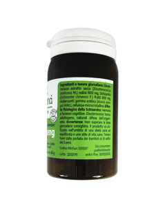 Wukaseng – Sistema nervioso 2