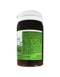 Rodiol Plus – Sistema nervioso 2