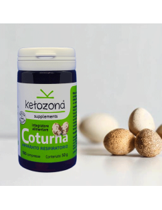 Coturna 2